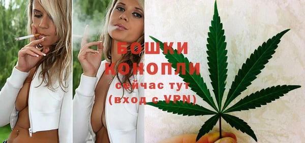 индика Богданович